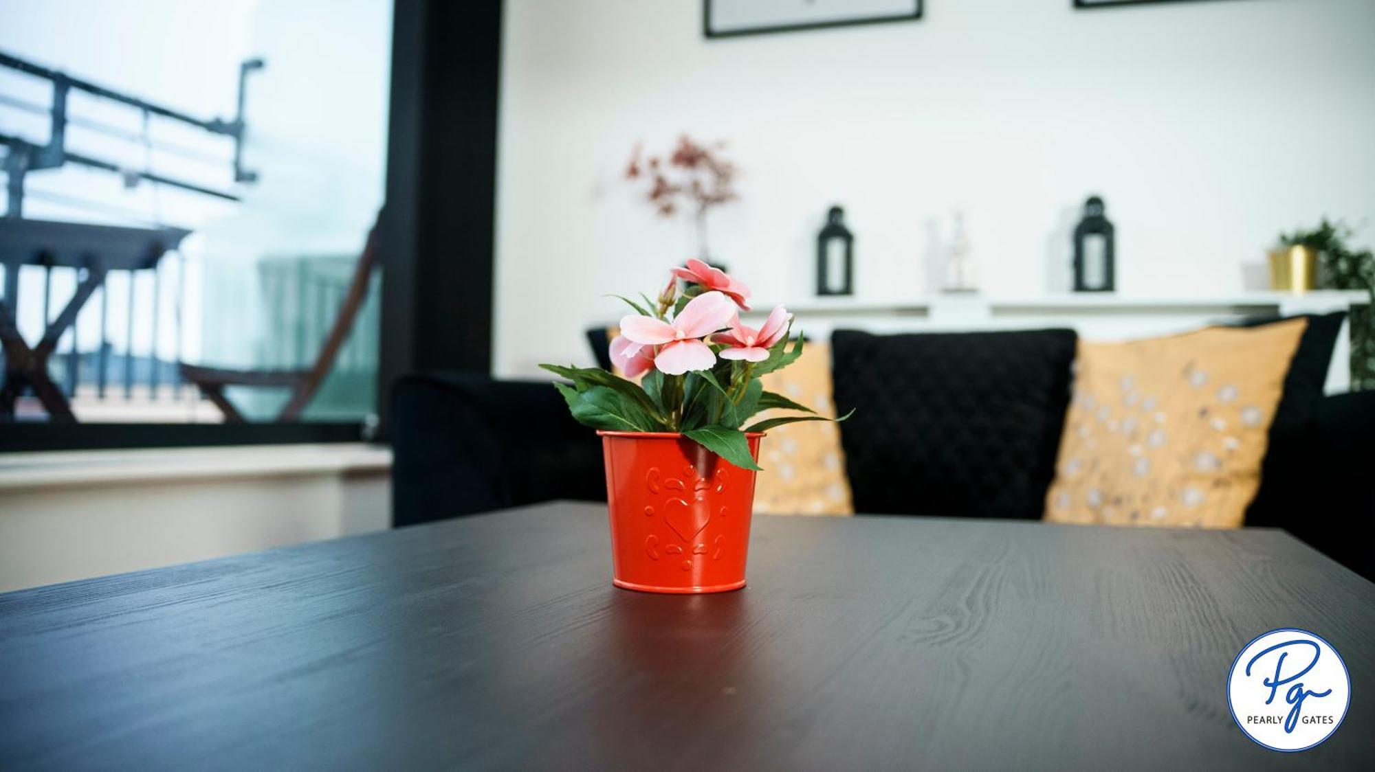Skyline Penthouse: Luxe Views & Extended Comfort Apartment Birmingham